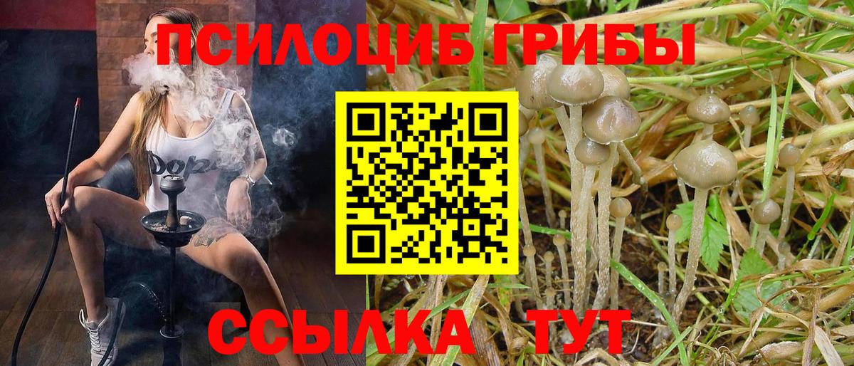 Псилоцибиновые грибы GOLDEN TEACHER  Псилоцибиновые грибы Magic Shrooms  Вход с VPN  Десногорск 