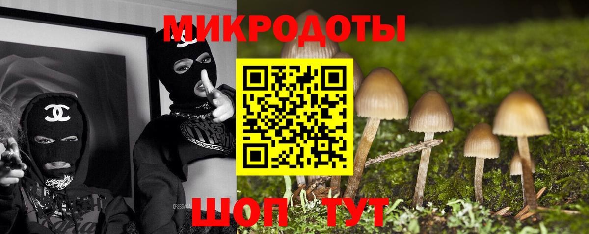 Галлюциногенные грибы GOLDEN TEACHER Десногорск